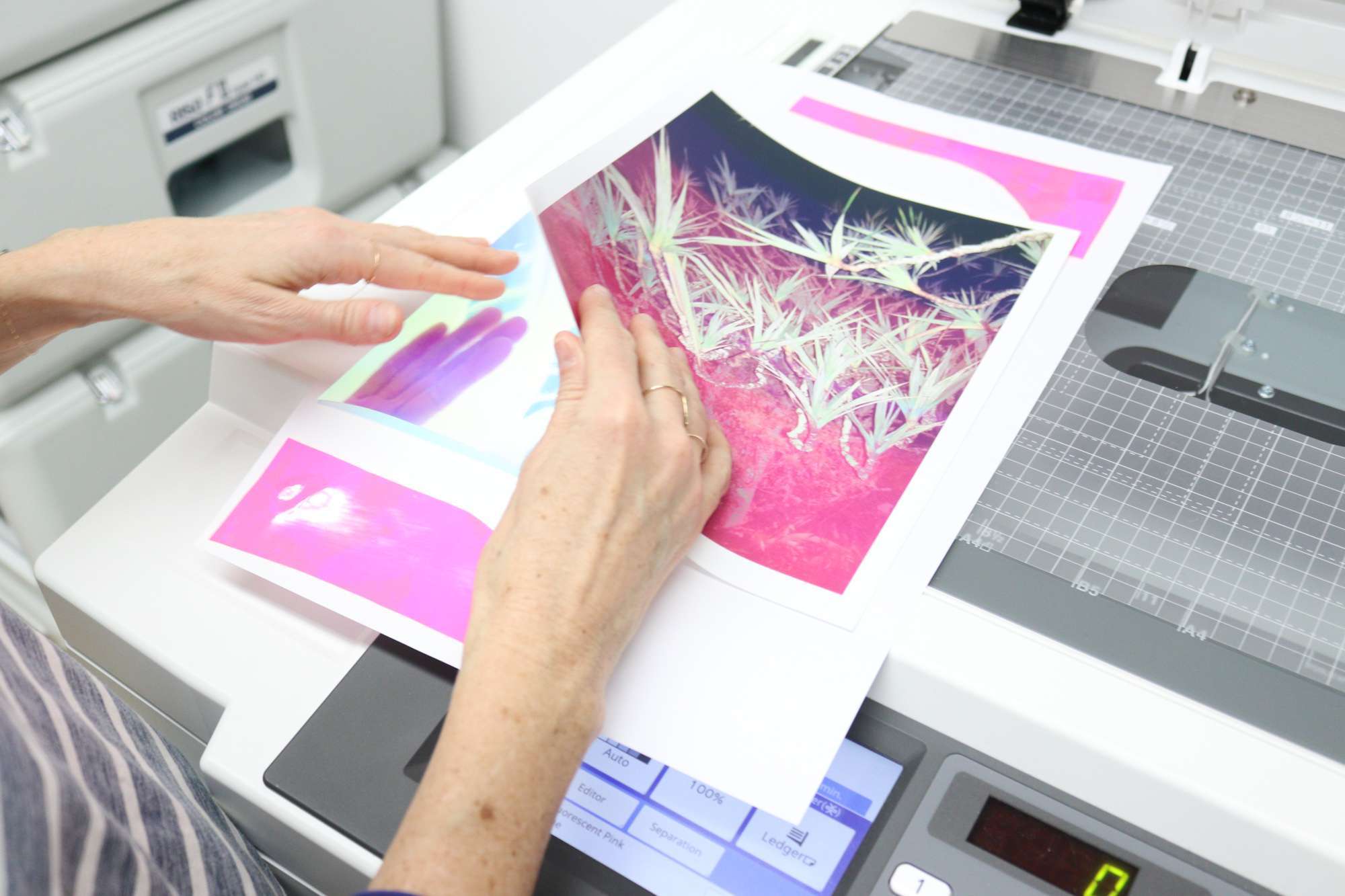 Riso Print